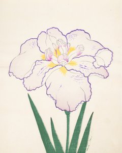 タンポロ51号1890年（色木版）